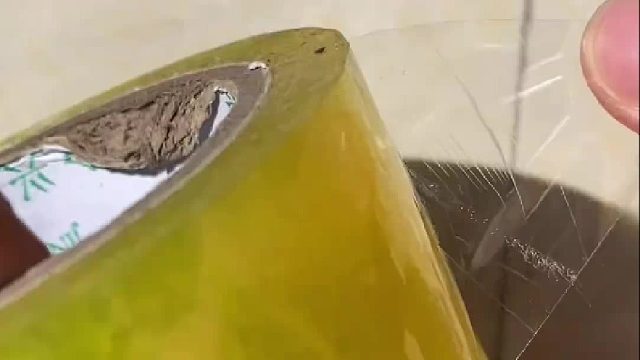 一定要看到最后，太解压了，既然杀虫剂搞不定，那就简单粗暴一点吧！