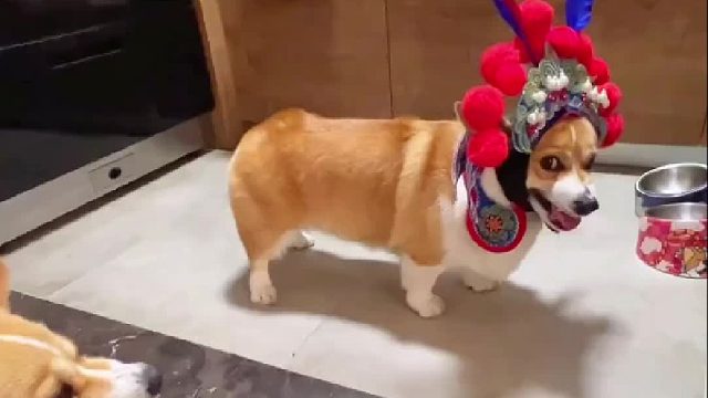 这出《霸王别基》演得恰到好处