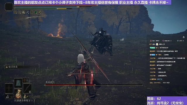 【沐】纯弓流番外篇10-2 夜骑2（装备：白金弓 战技：宿灵 箭支：普箭）