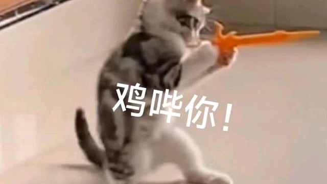 超解压的视频，记得带上耳机听哦