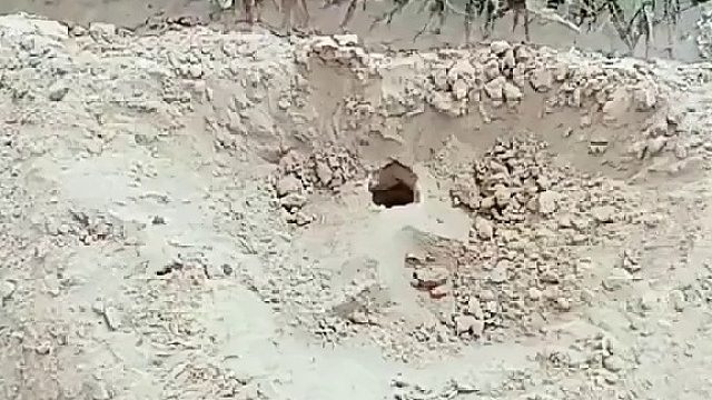 水淹鼠军，威震田地