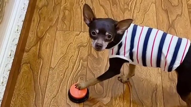 这是组团来忽悠我了