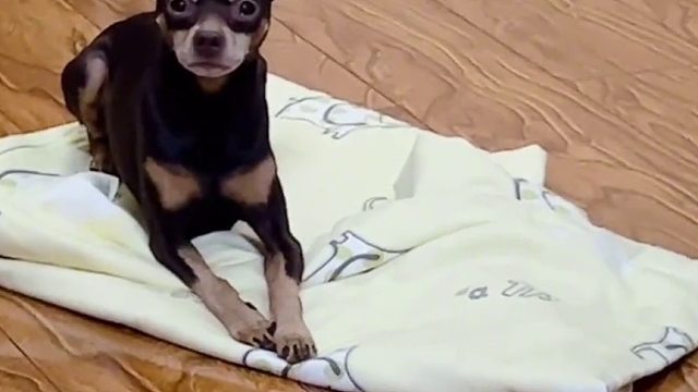 只要不撵我下床，我肯定听话