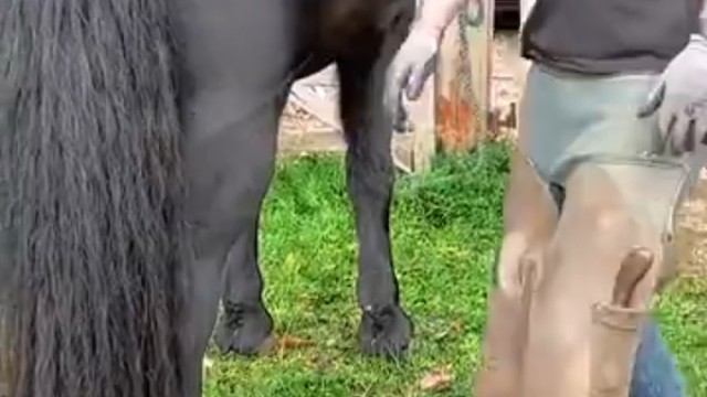 好健康的蹄子[可爱]