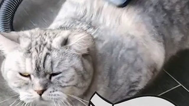 有猜到结果的吗