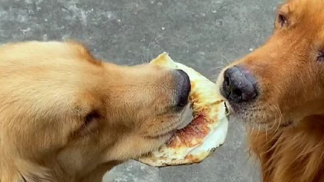 自己的吃完了，抢人家的……