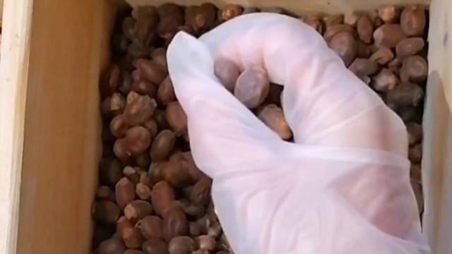 手抖？早发现早治疗早恢复