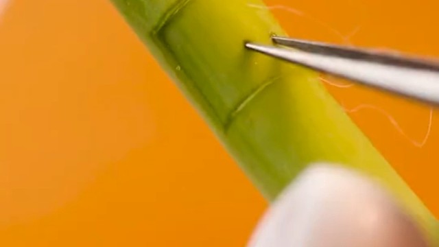 你好服务员，点菜，一桌八椅蒸一套