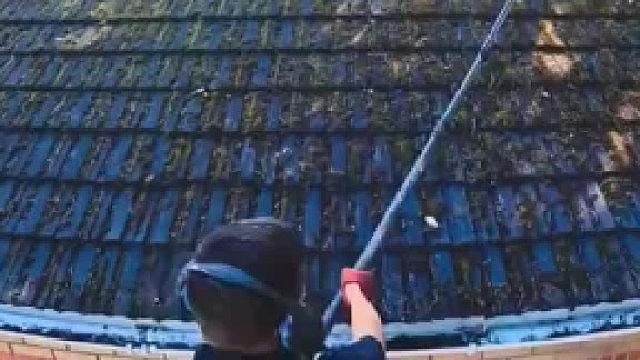 第一次因为喜欢而想要上班！！！