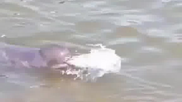 空军老哥 看傻眼了