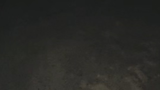 狗子最近很火，我也有