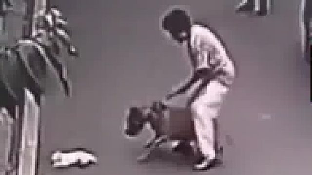 老太牵狗取快递，大狗突然咬断邻居家猫的腿。猫主人：老太牵不住狗，说我土猫只赔了200元