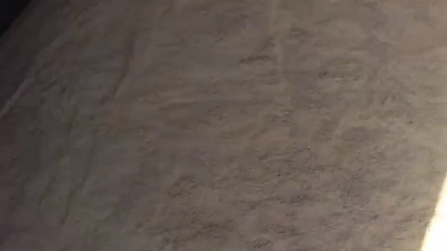 两万金玉米（二）
投料