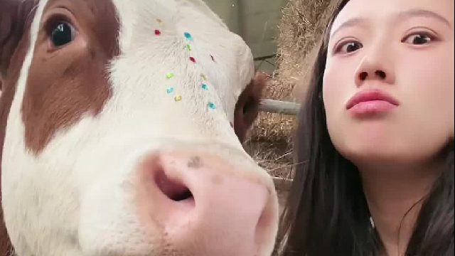 不敢惹我是真不敢惹，一大早就跟我整这出。