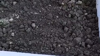 休息一天，同事不要的快遞泡沫