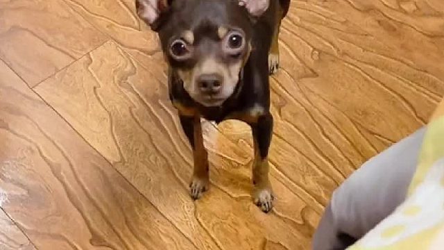 我好像被扫地出门了