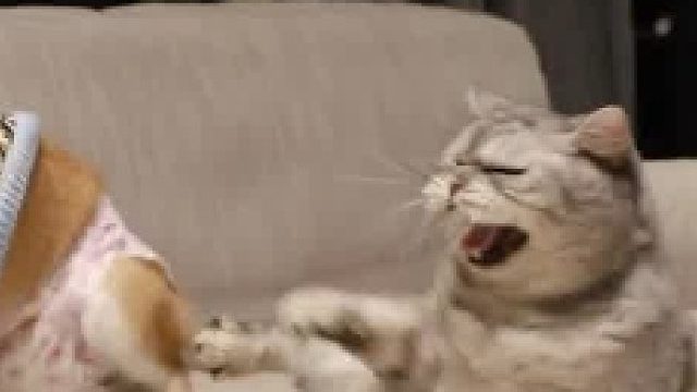 答应我，看完这个视频就休息