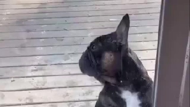 求开门的动作，莫名跟音乐好搭