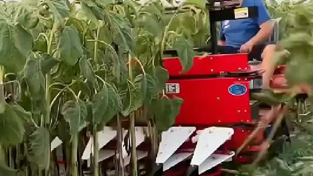 一机多用，太实用了  ​