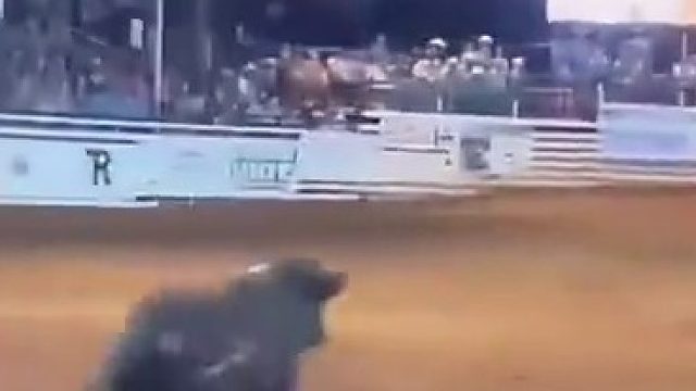 哈哈哈整个就飞走了……