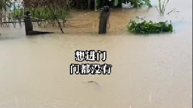 好惊死，都不知道是什么蛇