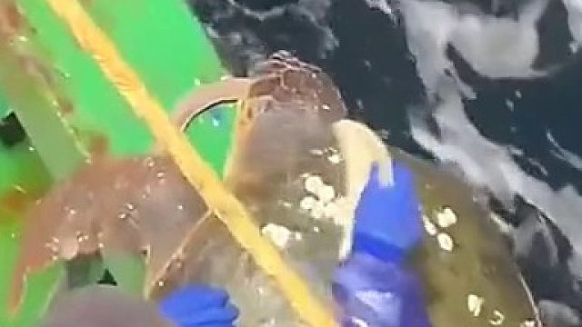 挥挥手告个别吧