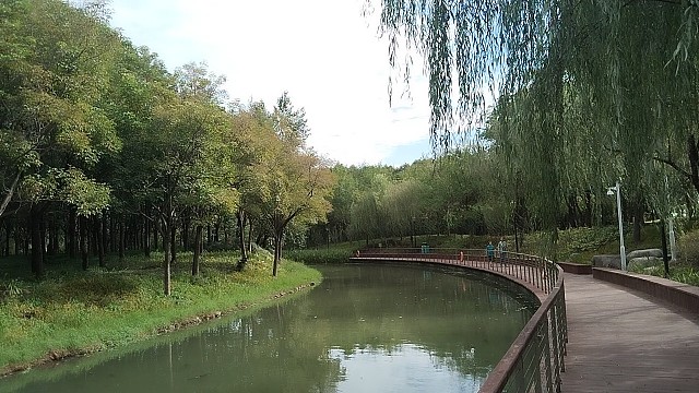 ((づ｡◕‿‿◕｡)づ好看吗