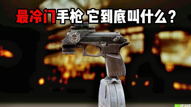 最冷门手枪 它到底叫什么？逃离塔科夫