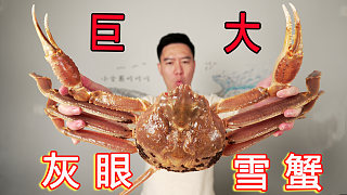 巨大松葉蟹，可遇不可求，刺身、煮粥連鍋底都舔干凈