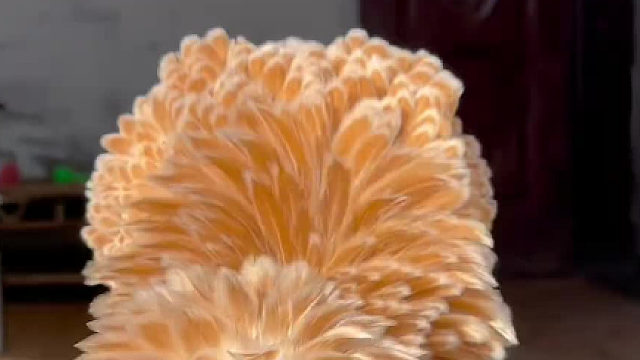 起猛了！看见鸡毛掸子成精了！不行，再睡会