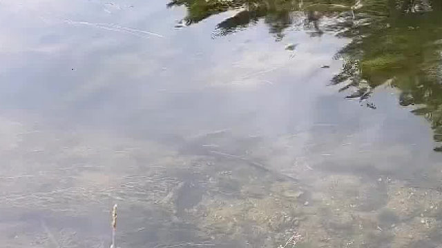 物理外挂最为致命