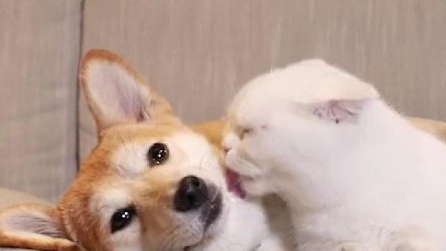 我只想拍个合影，你们能不能别这样