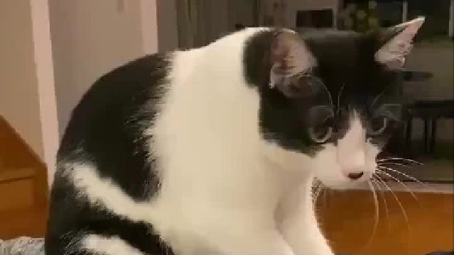 睡前按摩师傅已就位