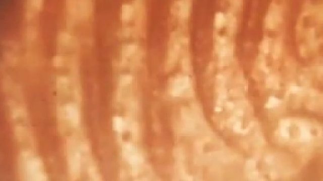 太神奇了！手指无限放大，你猜会看到什么？