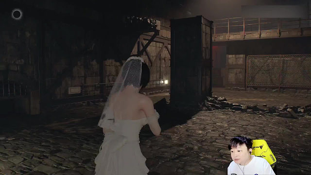 《生化危机4重制版》婚纱艾达王4090画质拉满10期