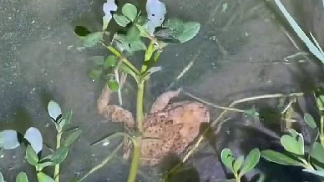 又是捞水货的一天