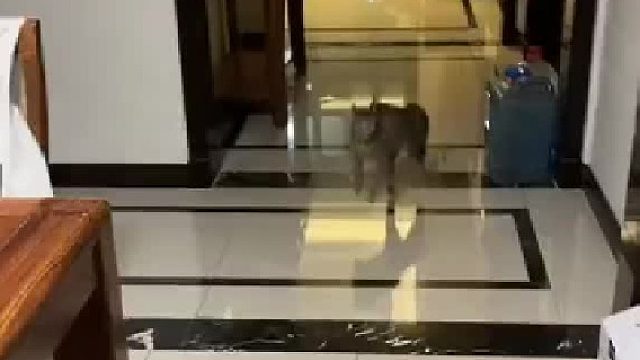 猛的跳一下啥意思