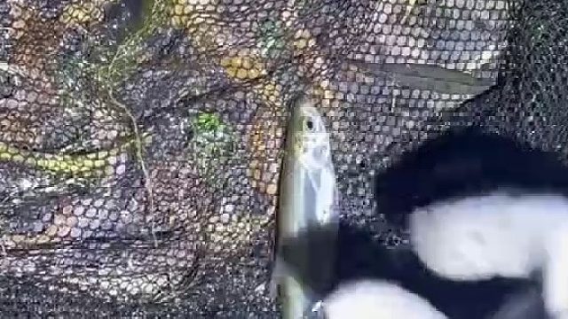 看看我练了三个月的功夫，厉不厉害