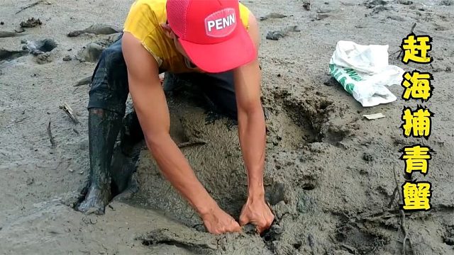 荒野赶海：国外渔民在退潮的泥滩中抓捕一麻袋手掌的的青蟹！