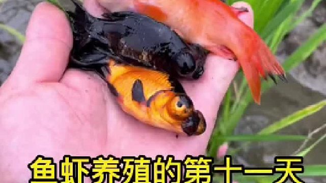 来看看今天都有些什么生物吧