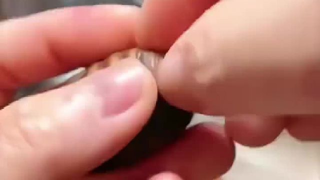 蜜袋鼯：我哒，我哒，不要动，这是我哒