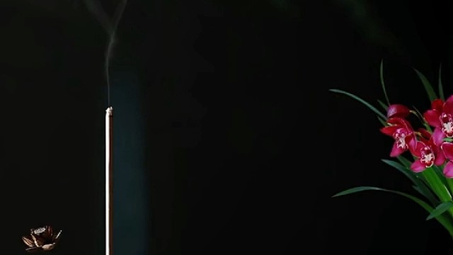 不要对人有意见