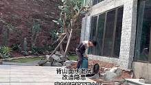 這樣存放能不能解決安全隱患？#煤氣罐 #舊房改造 #老房改造