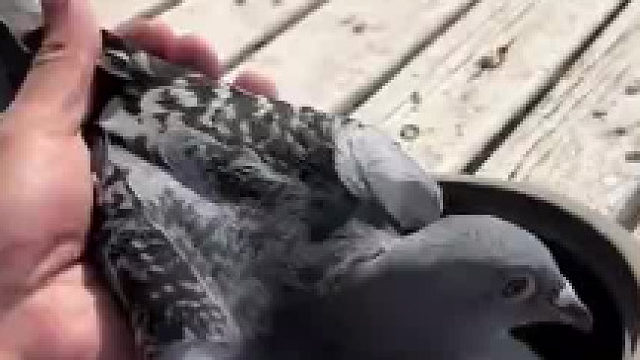 这个有什么说法……