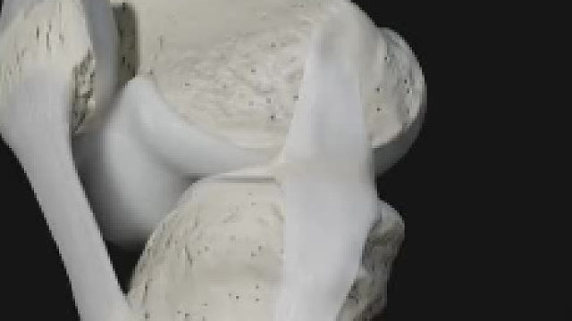 原来我们运动的时候，膝关节是这样工作的