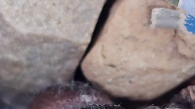 这蜘蛛是大师兄变的吧