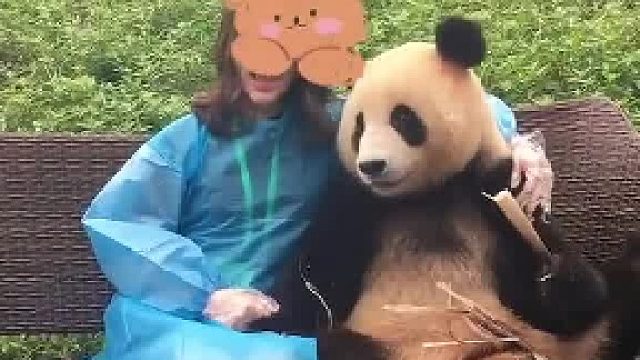 熊猫：你们拍好了吗？