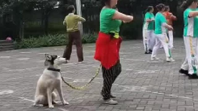 不愧是奶奶带大的狗子，情绪非常稳定