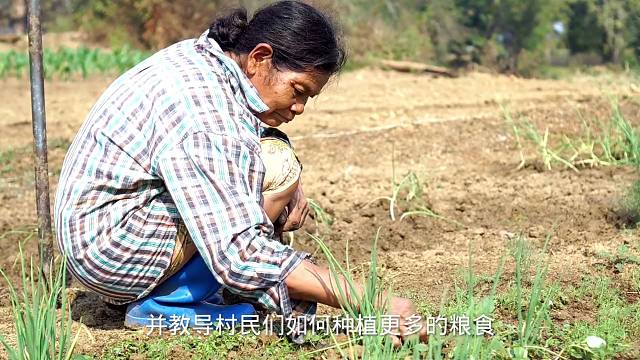 "大黑的故事：爱与和平的传