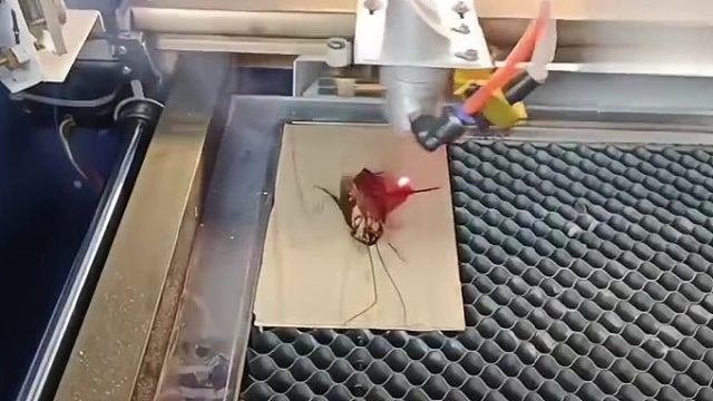 挨激光凌迟，下赛博地狱